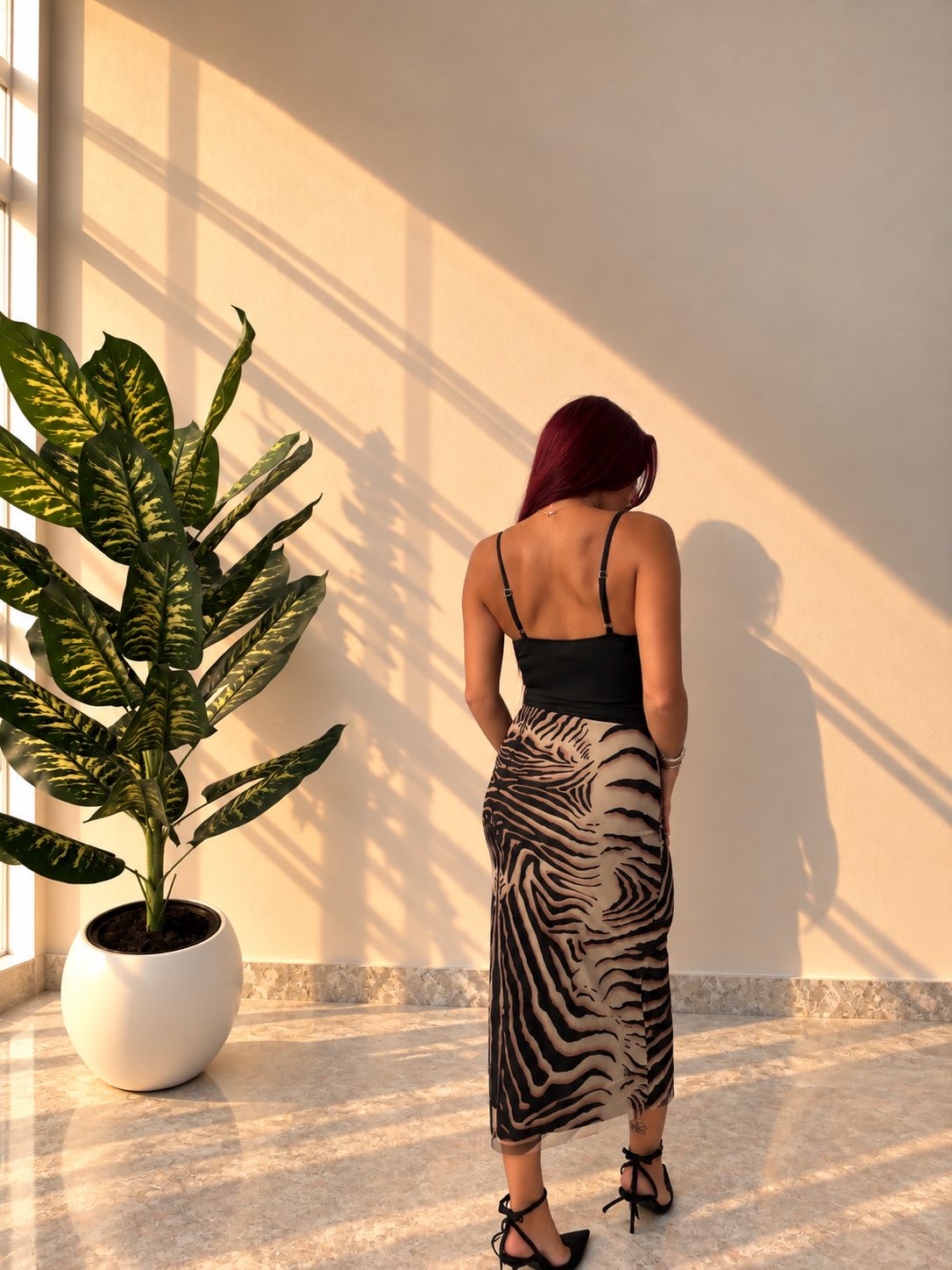 Zebra Élan