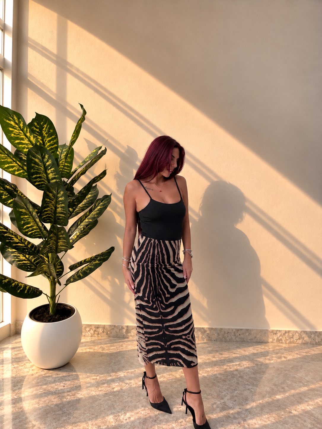 Zebra Élan